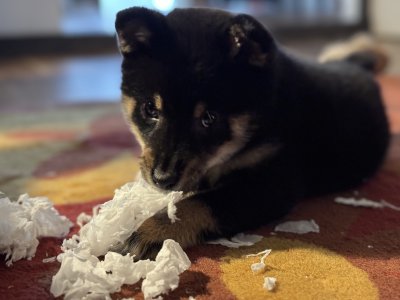 "I will look you straight in the eyes while I destroy this."