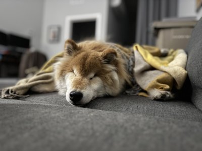 Cozy on the couch.